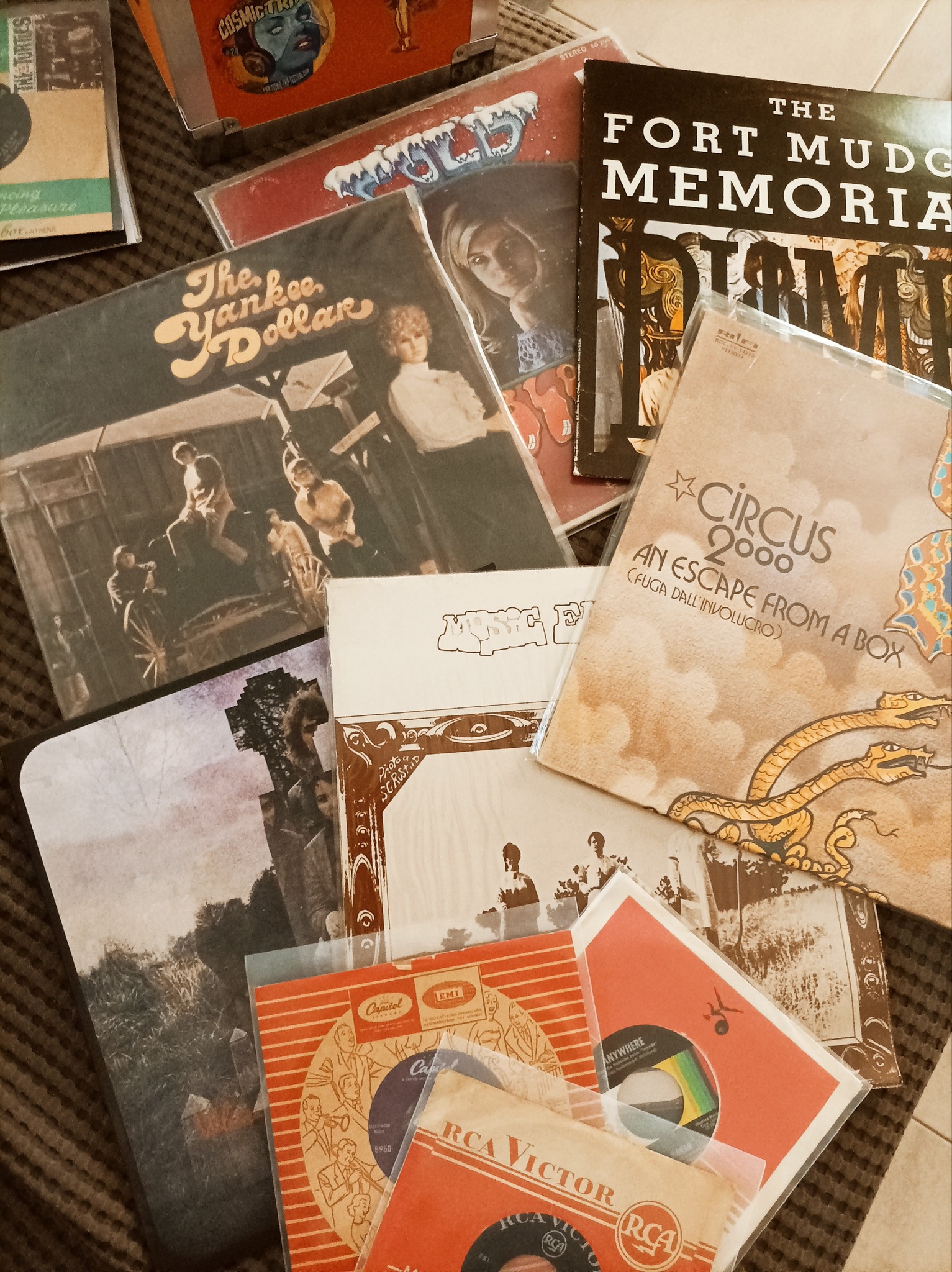 557633310 10225355365190532 6868741332751875845 n