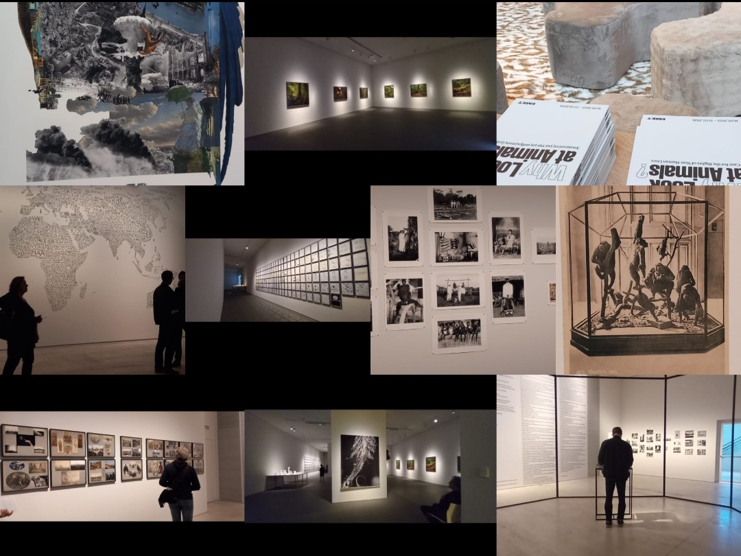 Screenshot 20250605 193010 Gallery