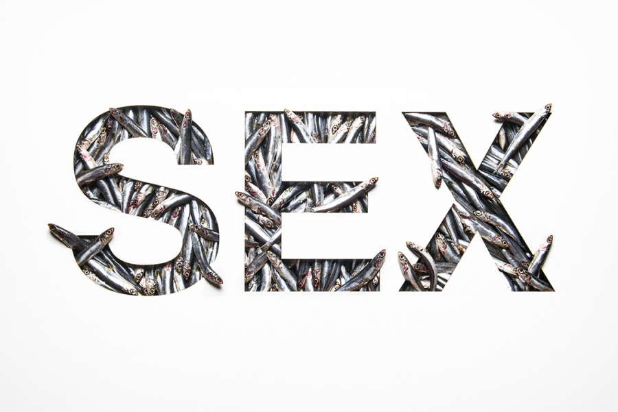 &Sigma;&epsilon;&xi;