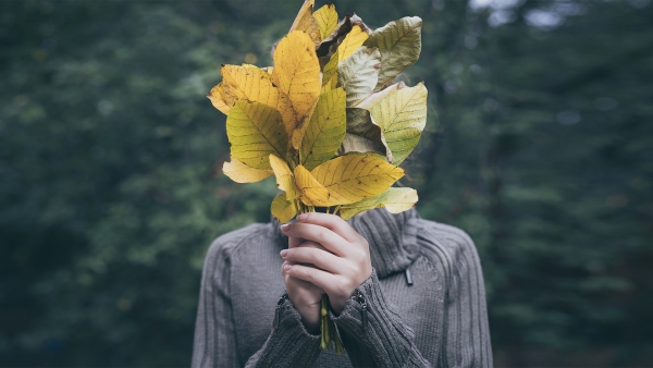 &Epsilon;ί&delta;&alpha;&mu;&epsilon; &tau;&eta;&nu; Ά&nu;&nu;&alpha; &sigma;&tau;&omicron; &theta;έ&alpha;&tau;&rho;&omicron; &Delta;&rho;ό&mu;&omicron;&sigmaf;
