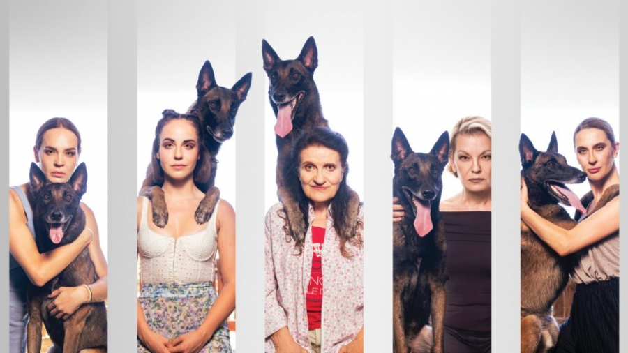 &Epsilon;ί&delta;&alpha;&mu;&epsilon; &tau;&eta;&nu; &pi;&alpha;&rho;ά&sigma;&tau;&alpha;&sigma;&eta; &Lambda;ύ&kappa;&alpha;&iota;&nu;&epsilon;&sigmaf; &sigma;&tau;&omicron; &theta;έ&alpha;&tau;&rho;&omicron; &Epsilon;&mu;&pi;&omicron;&rho;&iota;&kappa;ό&nu;