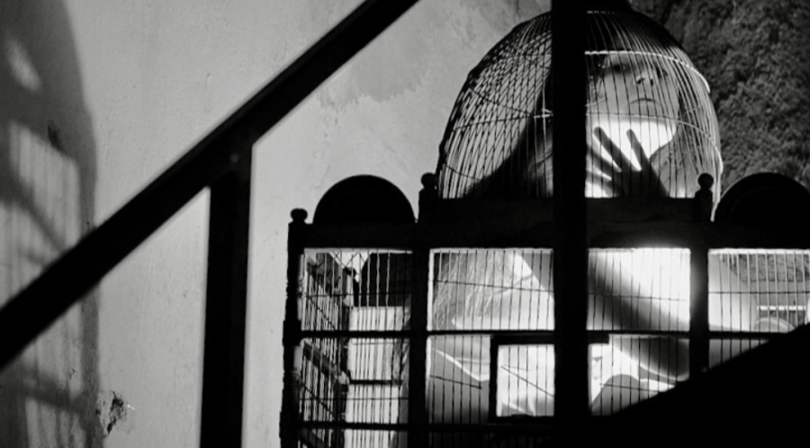 &Epsilon;ί&delta;&alpha;&mu;&epsilon; &tau;&eta;&nu; &pi;&alpha;&rho;ά&sigma;&tau;&alpha;&sigma;&eta; &Tau;&Epsilon;&Lambda;&Mu;&Alpha;&Tau;&Alpha;/&Nu;&Epsilon;&Kappa;&Rho;&Omicron;&Tau;&Alpha;&Phi;&Epsilon;&Iota;&Omicron; &sigma;&tau;&omicron; &Pi;&Lambda;&Upsilon;&Phi;&Alpha;