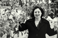 &Pi;&alpha;&rho;ά&tau;&alpha;&sigma;&eta; &Pi;&alpha;&rho;&alpha;&sigma;&tau;ά&sigma;&epsilon;&omega;&nu; &Iota;&Iota; &laquo;&Mu;&epsilon; έ&lambda;&epsilon;&gamma;&alpha;&nu; &Nu;&tau;&epsilon;&lambda;&iota;&Mu;&alpha;&rho;ί&kappa;&alpha;&hellip;&raquo; &sigma;&tau;&omicron; &Theta;έ&alpha;&tau;&rho;&omicron; 104